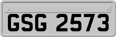 GSG2573