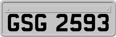GSG2593