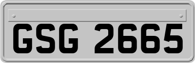 GSG2665