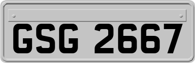 GSG2667