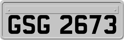 GSG2673