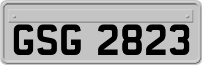 GSG2823