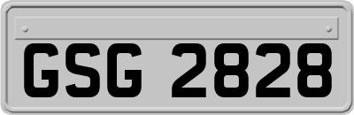 GSG2828