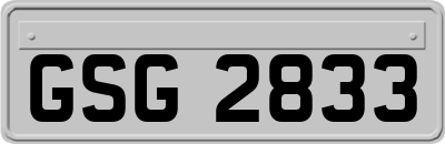 GSG2833