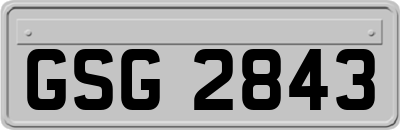 GSG2843