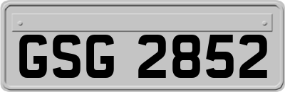 GSG2852
