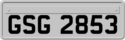 GSG2853