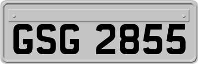 GSG2855