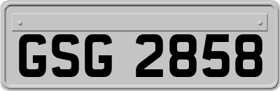 GSG2858