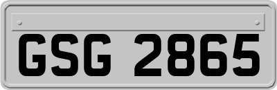 GSG2865
