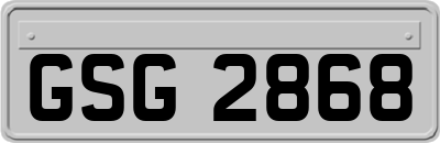 GSG2868