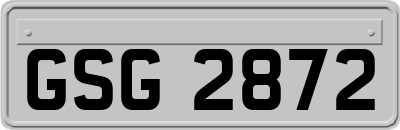 GSG2872