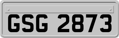 GSG2873