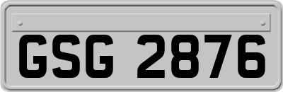 GSG2876
