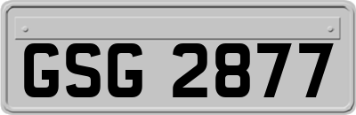 GSG2877