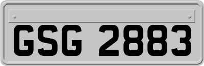 GSG2883