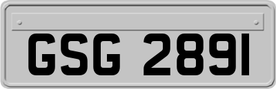 GSG2891