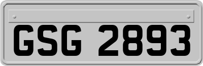 GSG2893