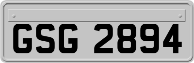 GSG2894