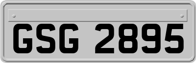 GSG2895
