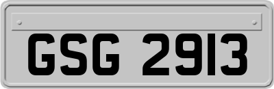GSG2913
