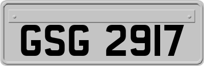 GSG2917
