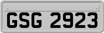 GSG2923