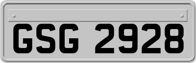 GSG2928