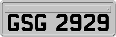 GSG2929