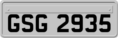 GSG2935