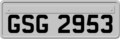 GSG2953