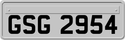 GSG2954
