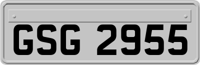 GSG2955