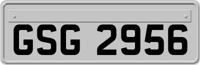 GSG2956