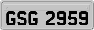 GSG2959