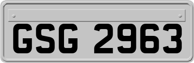 GSG2963