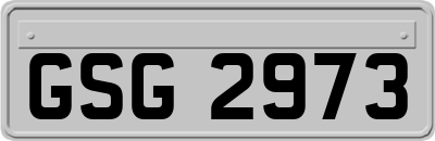 GSG2973