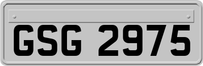 GSG2975