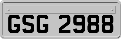 GSG2988