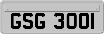 GSG3001