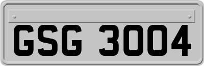 GSG3004