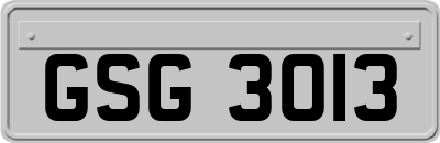 GSG3013