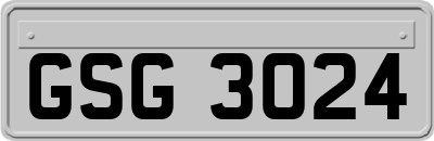 GSG3024