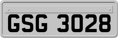 GSG3028