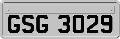 GSG3029