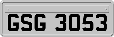GSG3053