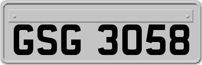 GSG3058