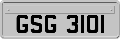 GSG3101
