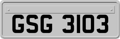 GSG3103