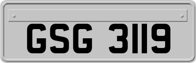 GSG3119